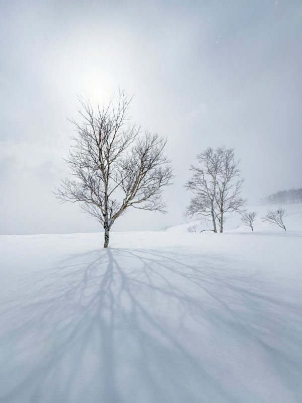 Silence Shadows