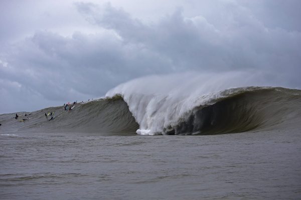 The Real Deal - Mavericks