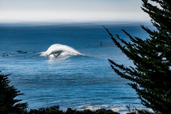 Surfers in the ocean with a large wave, framed by trees