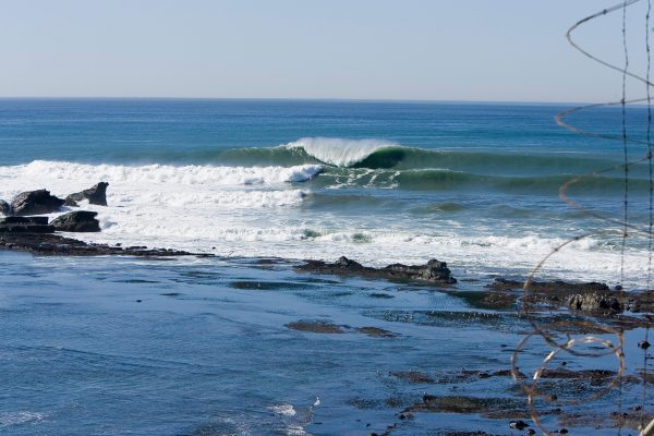 Ocean waves Mavericks crashing against rocks with a clear sky