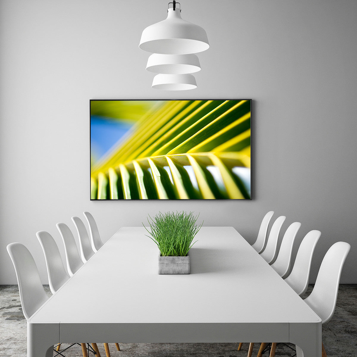 Palms - Image 3