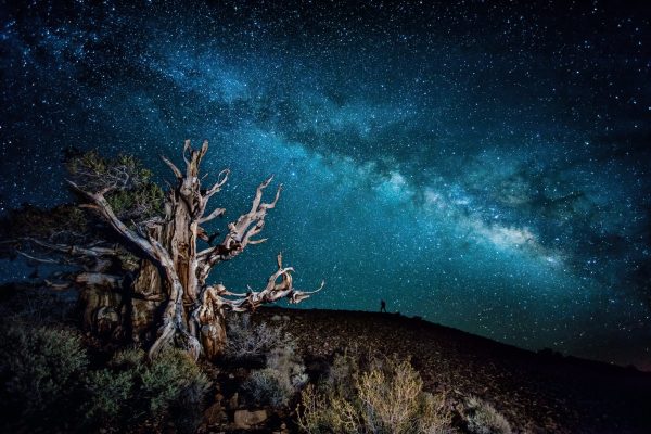 Eternal Stillness