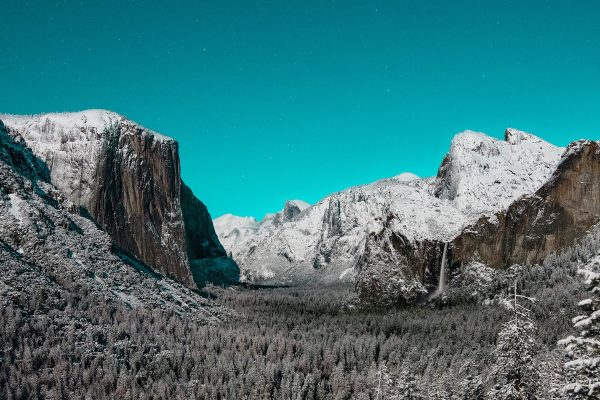 Moonlit Magic